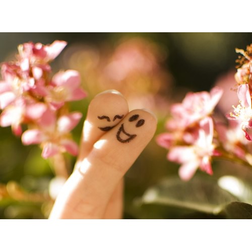 25 bức ảnh kì diệu về thế giới của sinh vật nhỏ bé 25 bức ảnh kì diệu về thế giới của sinh vật nhỏ bé